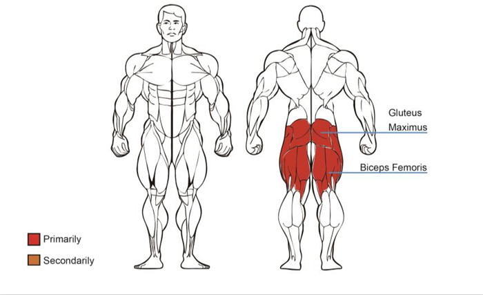 站立式后蹬腿臀部训练器